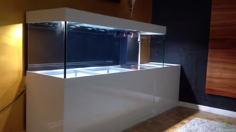 Aquarium meine Ruheoase ( nur noch als Beispiel ) von Martina (5)