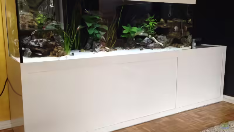 Aquarium meine Ruheoase ( nur noch als Beispiel ) von Martina (7)