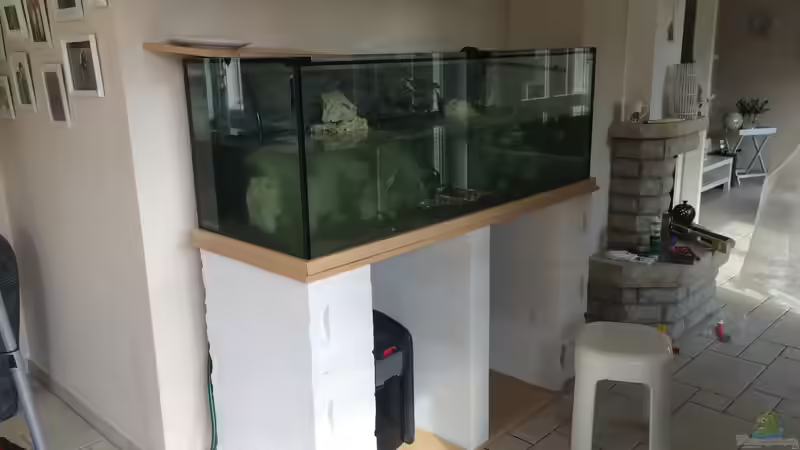 Aquarium Meins von M1989L (13)