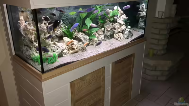 Aquarium Meins von M1989L (2)