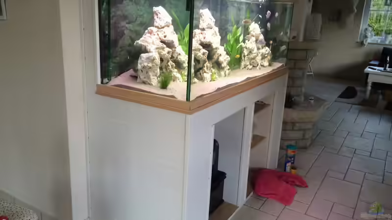 Aquarium Meins von M1989L (20)