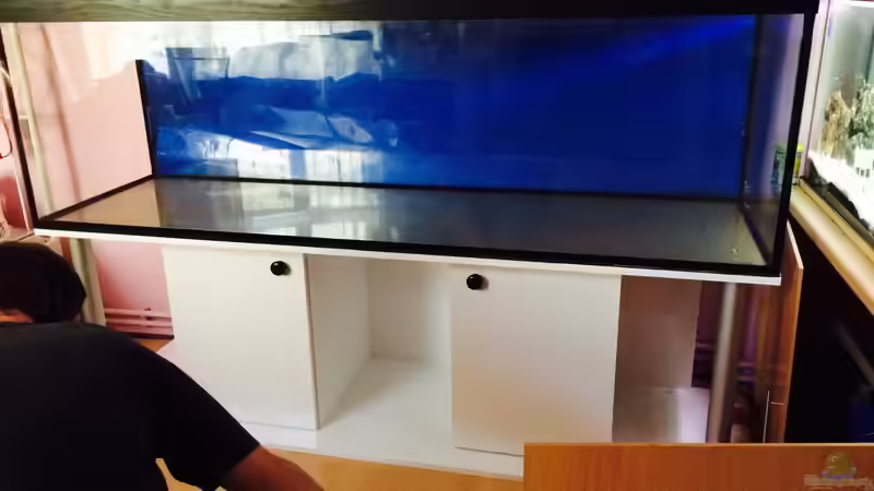 Aquarium Merlins Tanganjika Traum von Arielle (2)