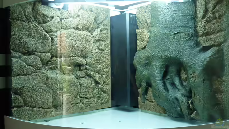 Aquarium Micro-Dschungel von Steffen S. (4)