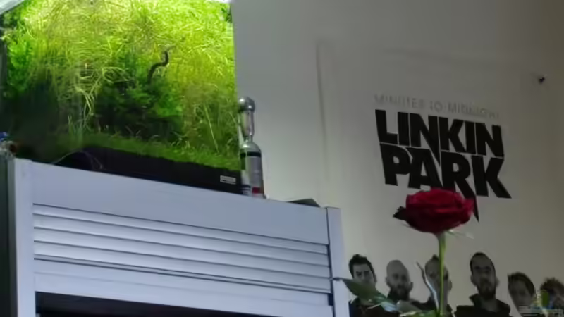 Aquarium Mikrokosmos 1.0 von Akula (4)