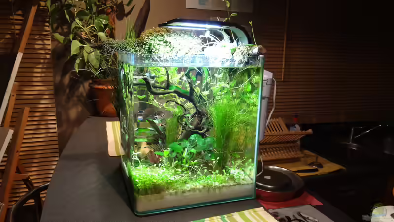 Aquarium Miniunterwasserwelt von mcfly (10)