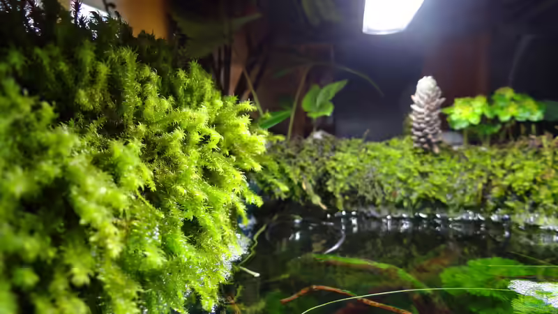 Aquarium Miniunterwasserwelt von mcfly (15)
