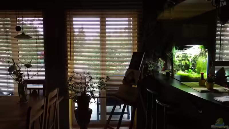 Aquarium Miniunterwasserwelt von mcfly (4)