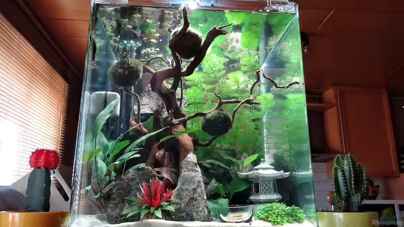Aquarium Miniunterwasserwelt von mcfly (44)