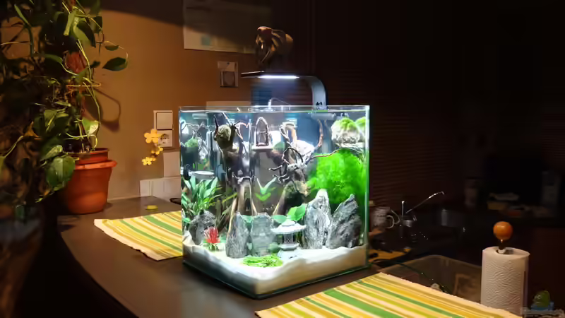 Aquarium Miniunterwasserwelt von mcfly (48)