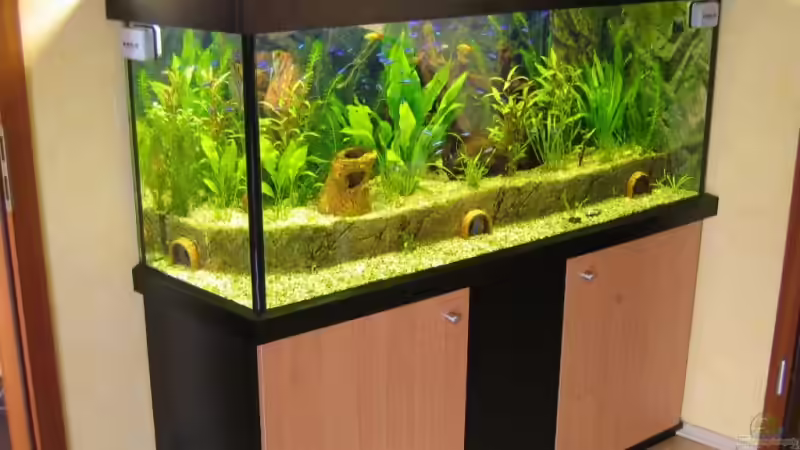 Aquarium mit 2 Meter verzweigtem Höhlensystem von Lars Mielke (1)