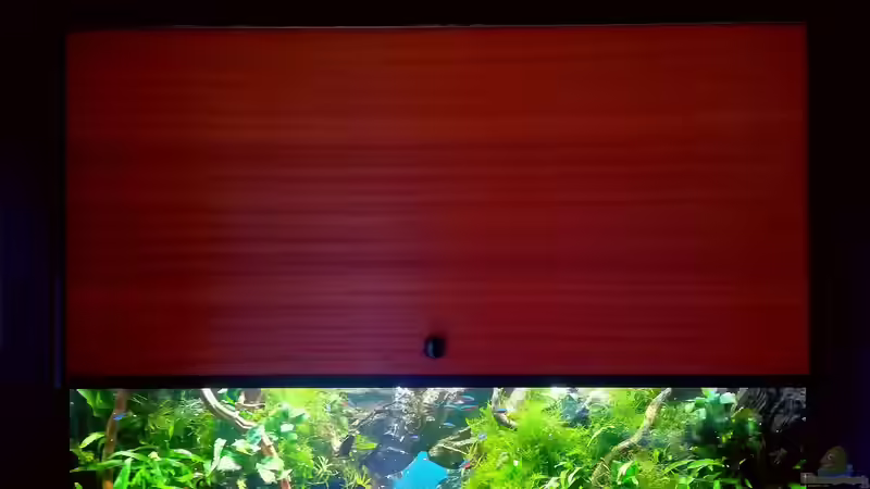 Aquarium mit Dachgarten von Bermuda 3eck (11)