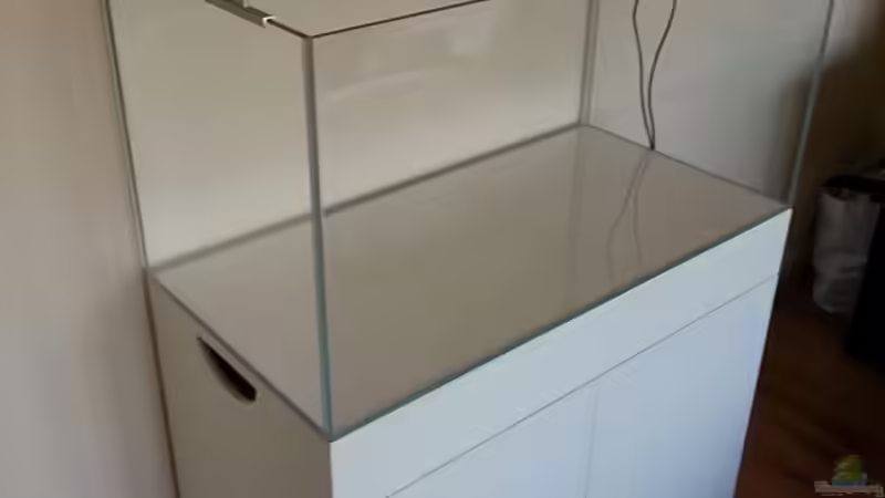 Aquarium mit Daytime LED von Marcel Reiter (27)