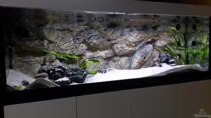 Aquarium mit LED-Beleuchtung von spriggina (17)