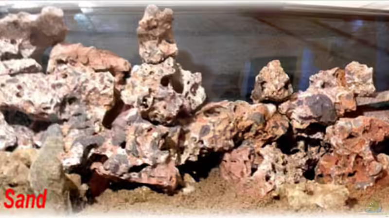 Aquarium mit Lochdestein und Bodengrund von Theodor Schmidt (10)