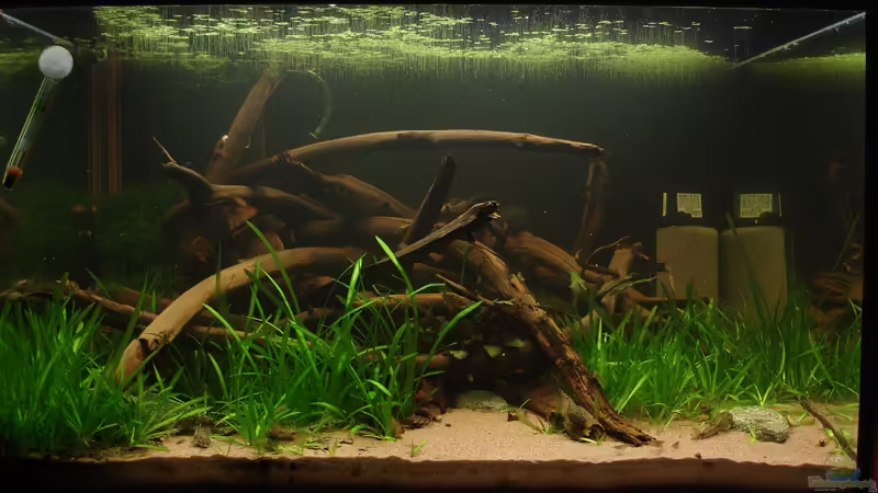 Aquarium mit Mondlicht bei Nacht von Florian Schweers (3)