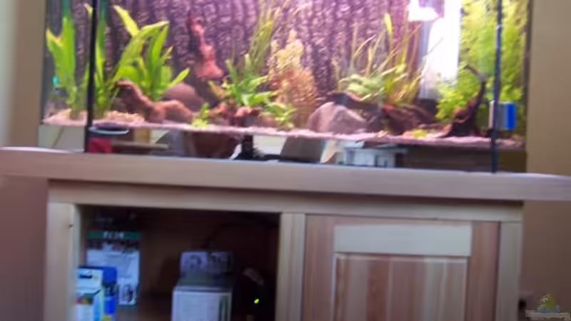Aquarium mit selbstgebautem Unterschrank von Jana_ (2)