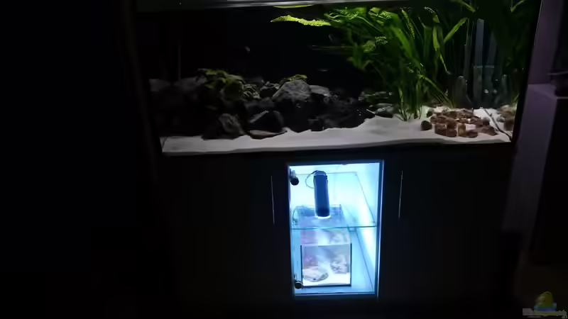 Aquarium mit unten eingebautem Garnelenbecken von djhitek (2)