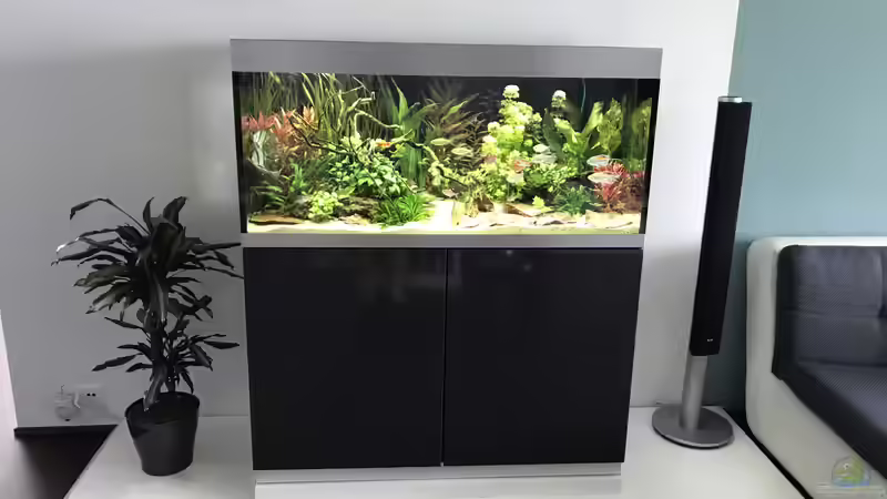 Aquarium mit Unterlagsplatte von Aerbsli (2)