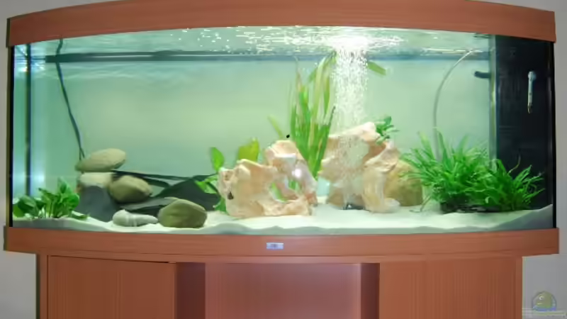 Aquarium mit unterschrank am Anfang von schwiizerfisch93 (2)