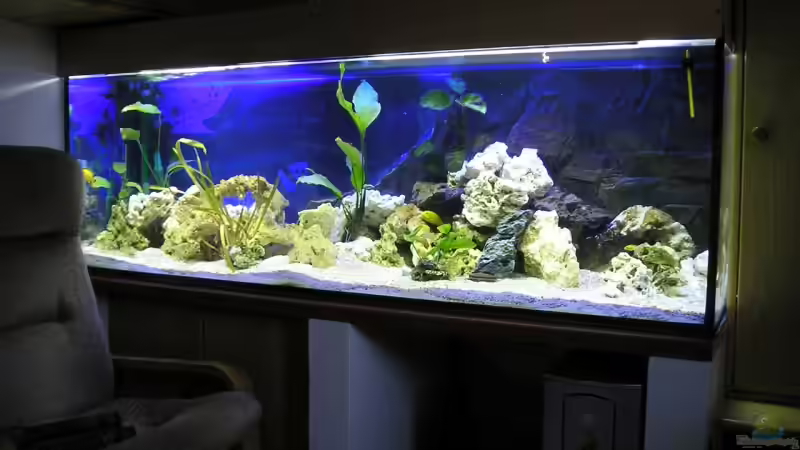 Aquarium mit Ytong Unterbau von Florian Geittner (7)
