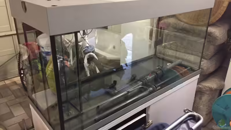 Aquarium Mittelamerika von Basti@ (3)