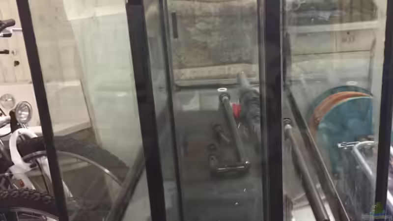 Aquarium Mittelamerika von Basti@ (4)