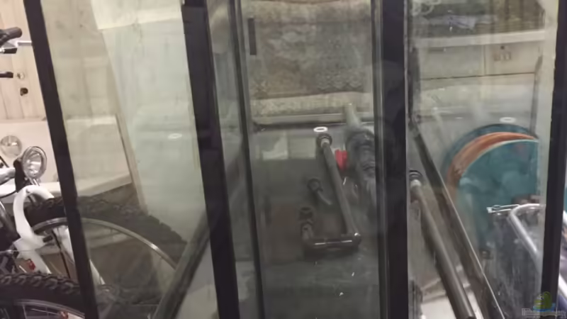 Aquarium Mittelamerika von Basti@ (6)