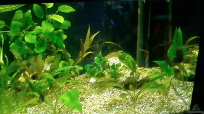 Aquarium MOINS von Kevin Knoll (3)