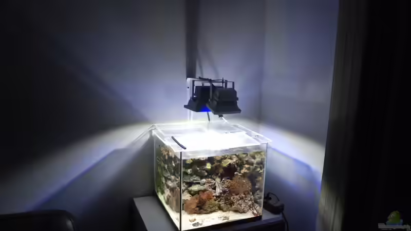 Aquarium MW Würfel WZ von Cichlid Power (2)