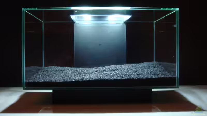 Aquarium My first AQ von Markus96 (2)