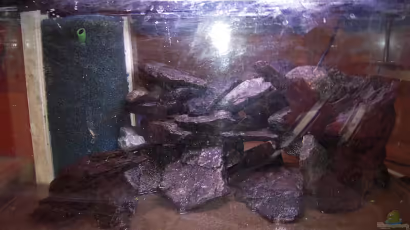 Aquarium My Lake Matano--existiert so nicht mehr von Exotist (2)