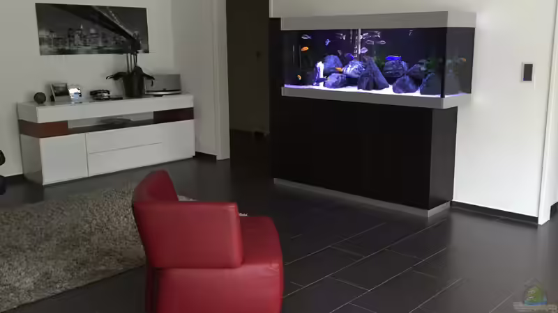 Aquarium My Malawi-Dream von flightsim (5)