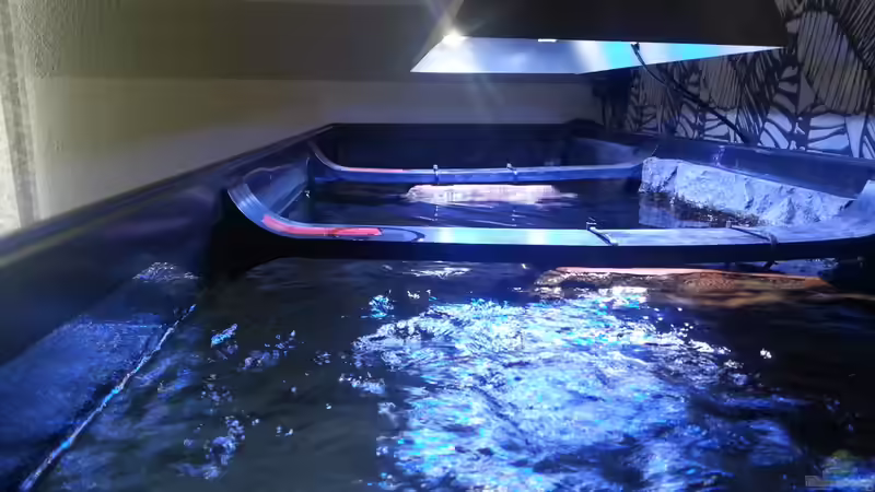 Aquarium My second Malawi basin existiert nicht mehr von Vision (2)