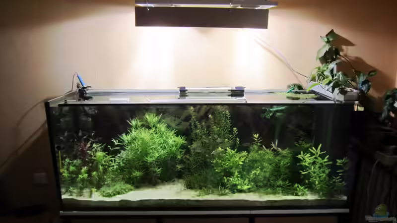 Aquarium mysteryland von furt (2)