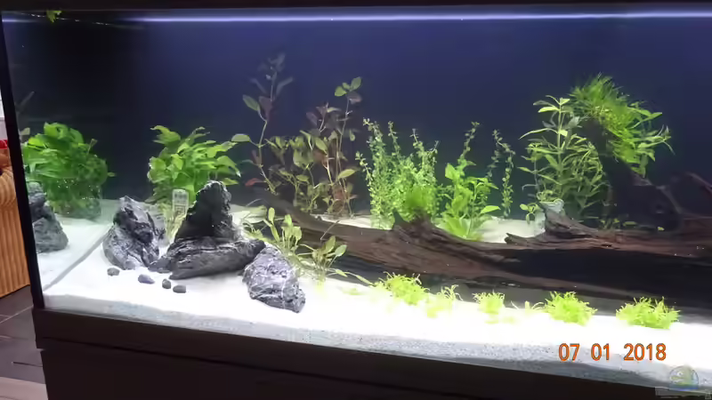 Aquarium Mystic River von Aqua-Josh (2)