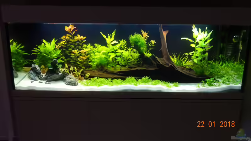 Aquarium Mystic River von Aqua-Josh (4)