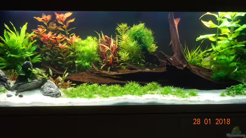 Aquarium Mystic River von Aqua-Josh (6)