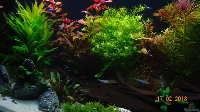 Aquarium Mystic River von Aqua-Josh (7)