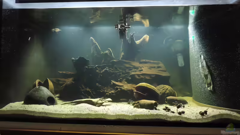 Aquarium Namenlos II von Fichte (14)