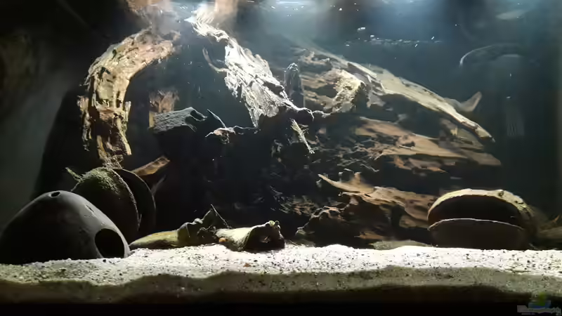 Aquarium Namenlos II von Fichte (15)