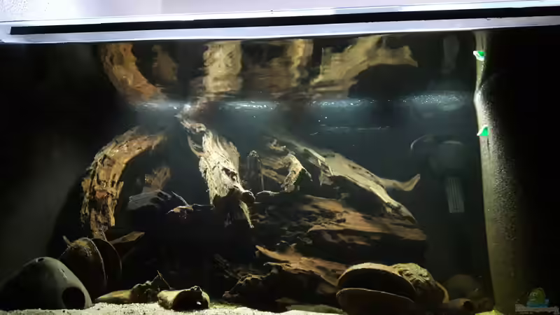 Aquarium Namenlos II von Fichte (16)