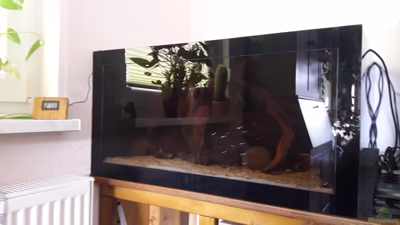 Aquarium Namenlos II von Fichte (18)