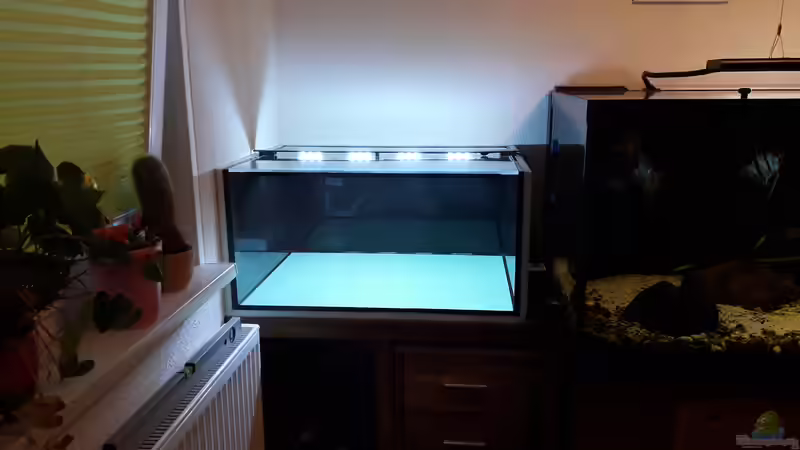 Aquarium Namenlos II von Fichte (4)