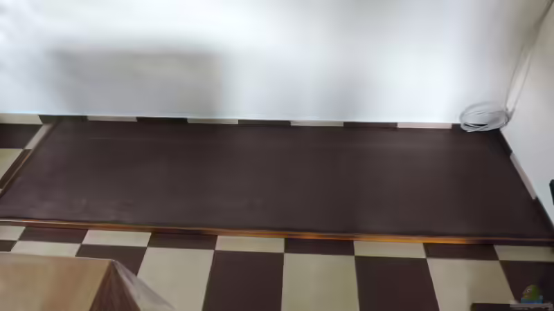 Aquarium Namenlos von Fichte (17)