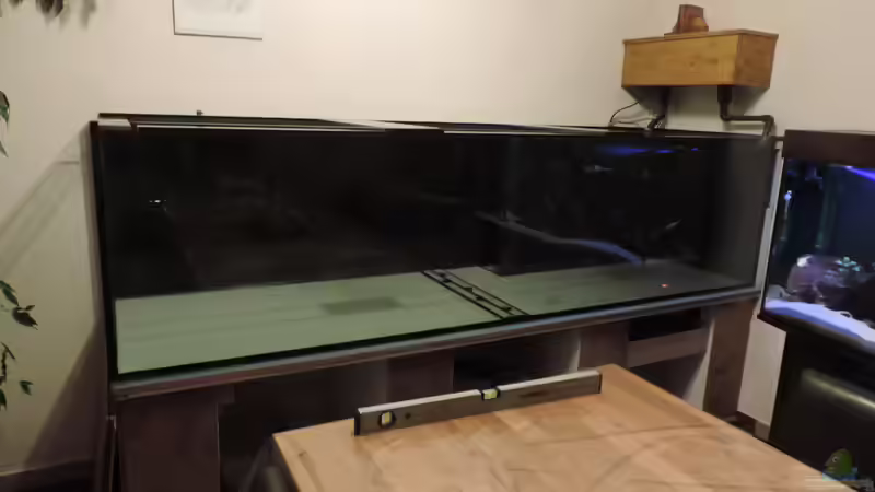 Aquarium Namenlos von Fichte (19)