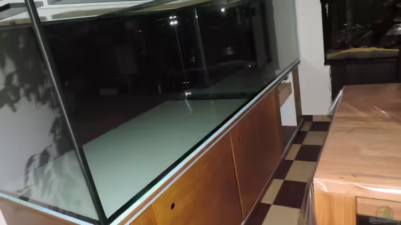 Aquarium Namenlos von Fichte (21)