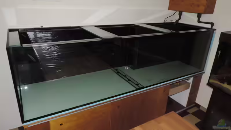 Aquarium Namenlos von Fichte (22)