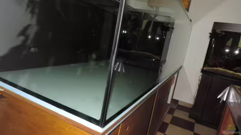 Aquarium Namenlos von Fichte (23)