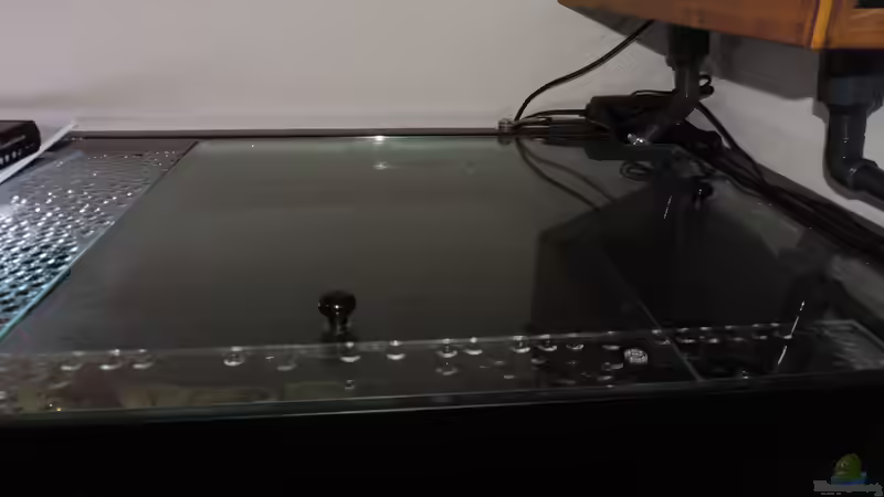 Aquarium Namenlos von Fichte (3)