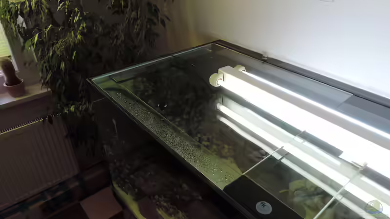 Aquarium Namenlos von Fichte (30)